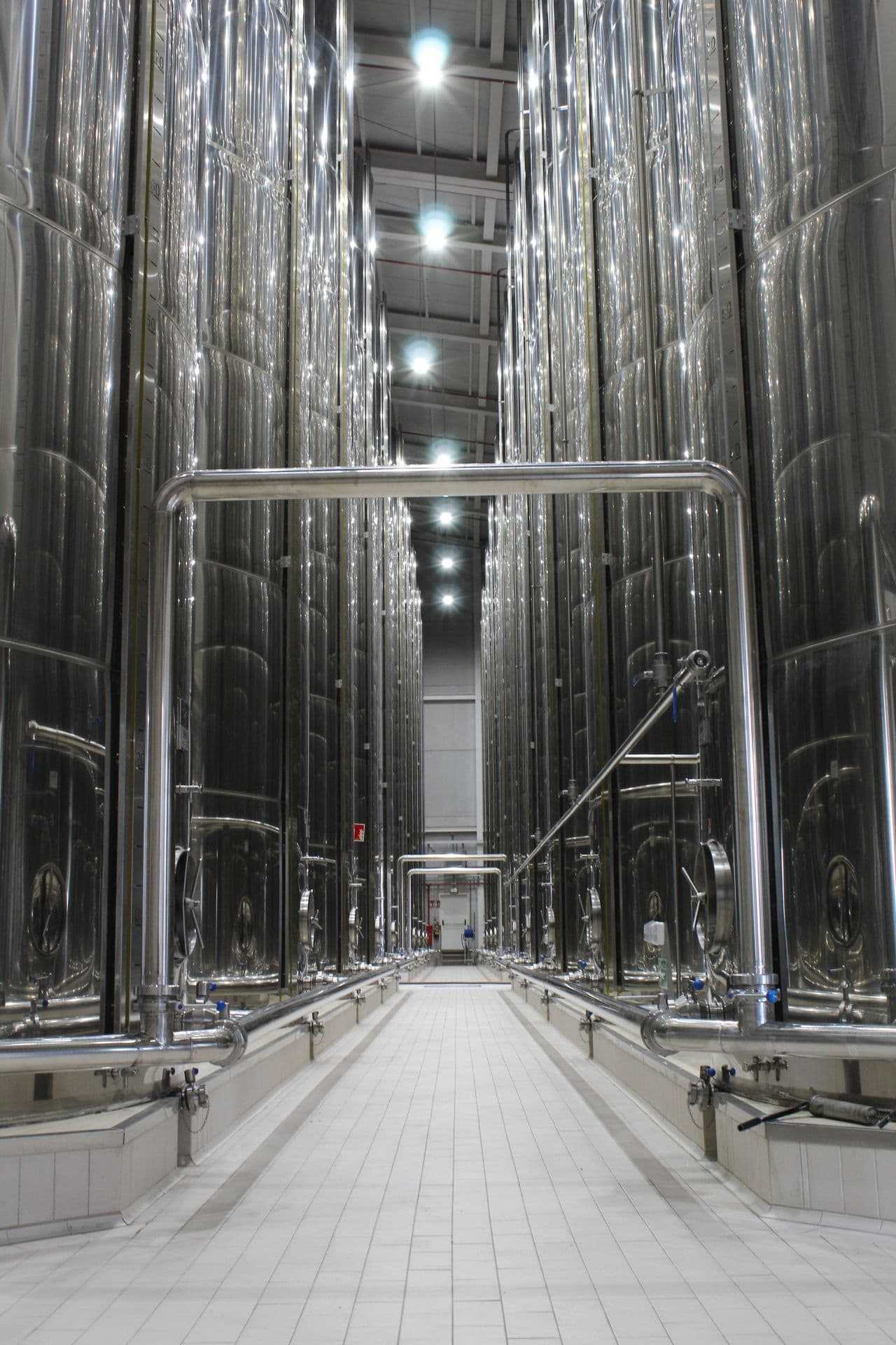Stainless steel storage tanks lining an olive oil mill